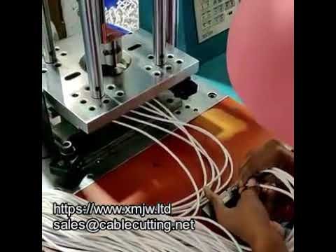 WPM 150 - Vakioruiskupuristuskone